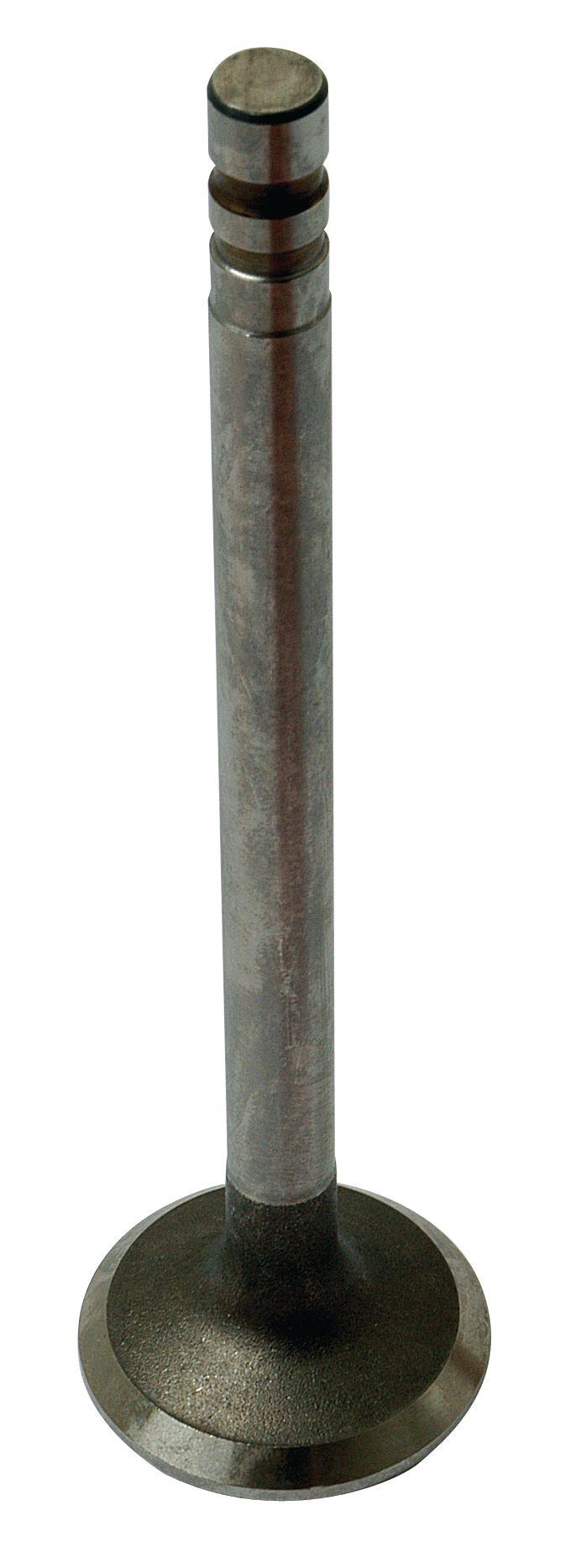 FORD NEW HOLLAND VALVE-EXHAUST 65928