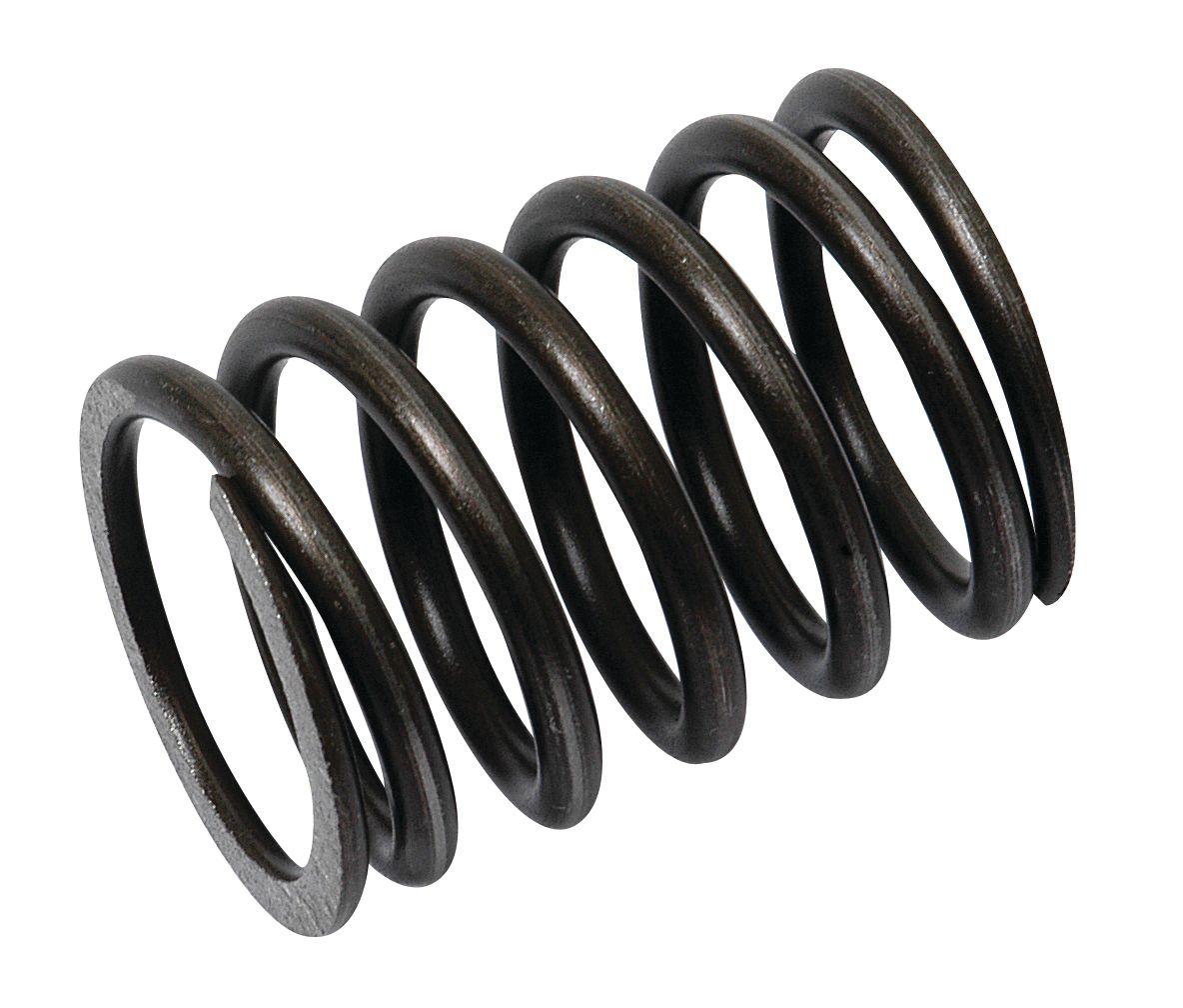 MASSEY FERGUSON SPRING-VALVE 61906