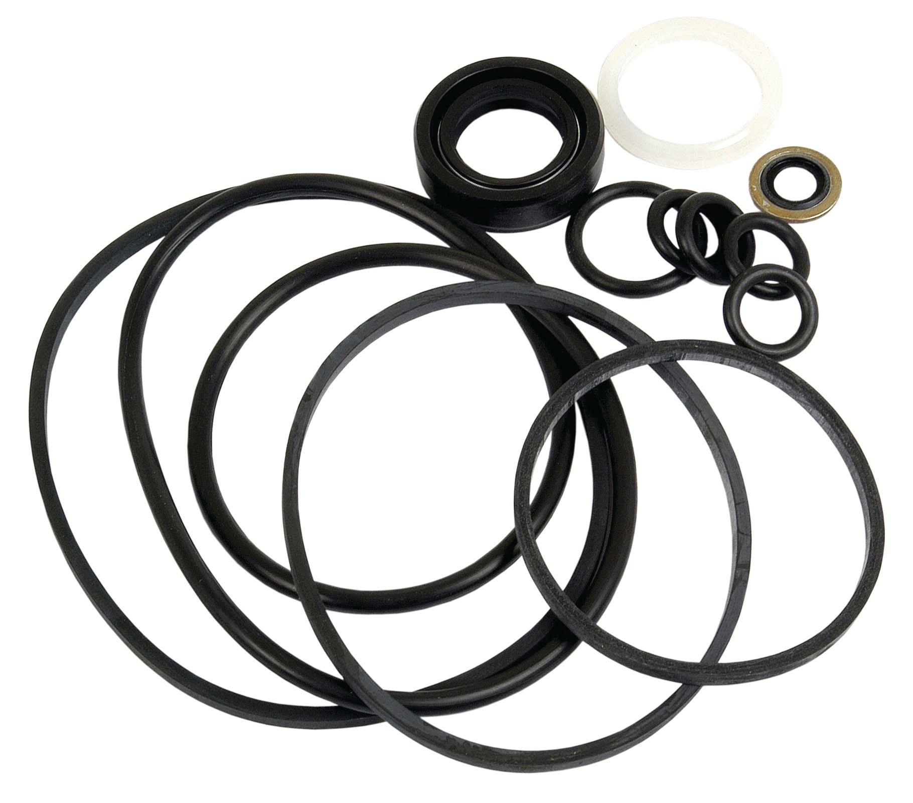 DAVID BROWN SEAL KIT P/S K964935 11119