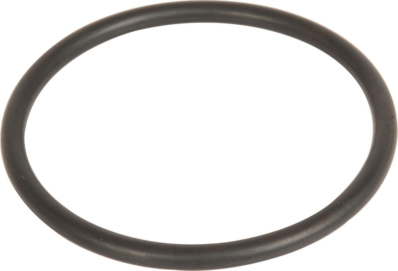 LANDINI O'RING - HYDRAULIC PISTON 107372