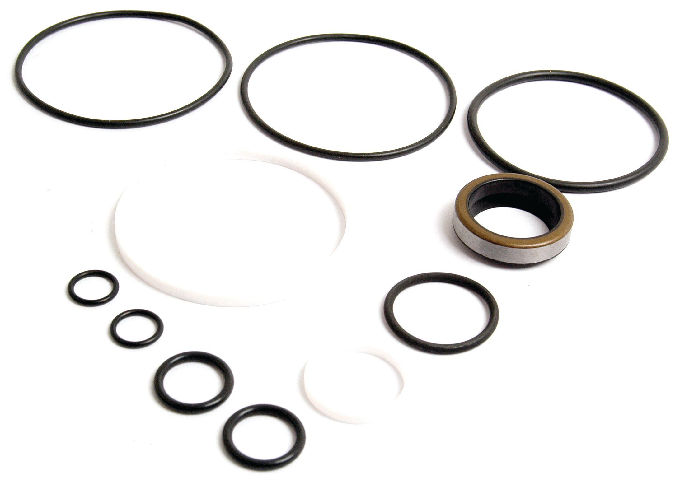 FIAT SEAL KIT 62583