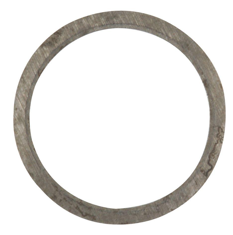 LANDINI WASHER-DIFFERENTIAL 43480