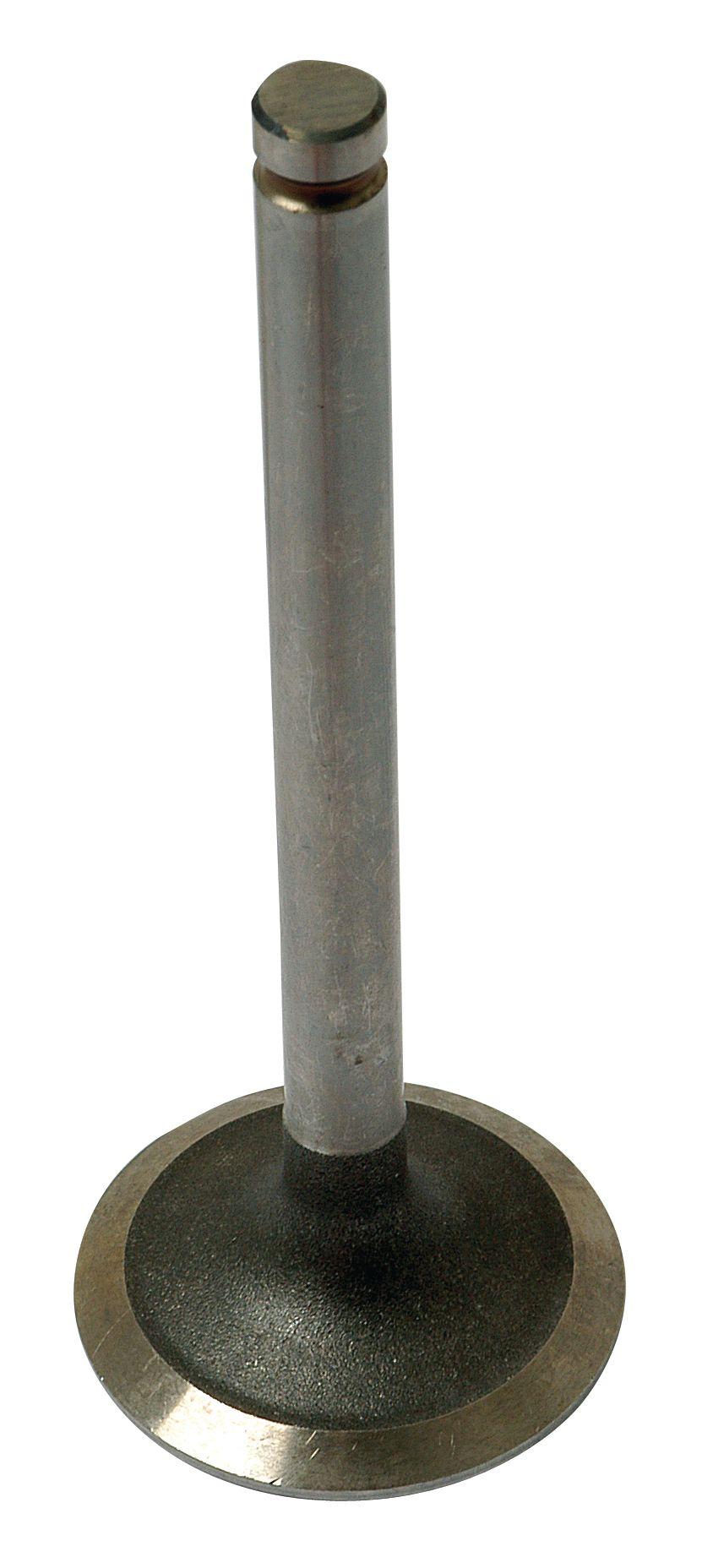 LANDINI VALVE-INLET 42439