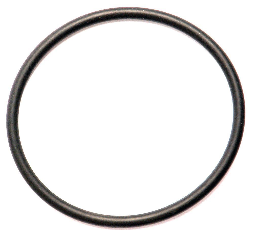 LANDINI O'RING-1/8"X57MM 10395