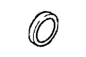MASSEY FERGUSON CRAWLER RADIAL SEAL RING (AGCO) 3019957X1
