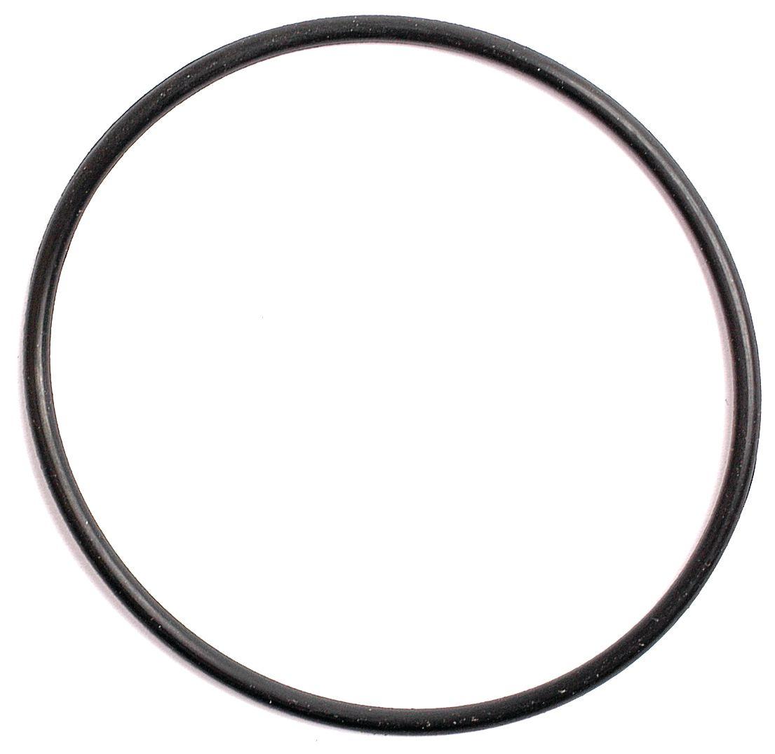 LANDINI O'RING-1/16"X1.3/4" 10329
