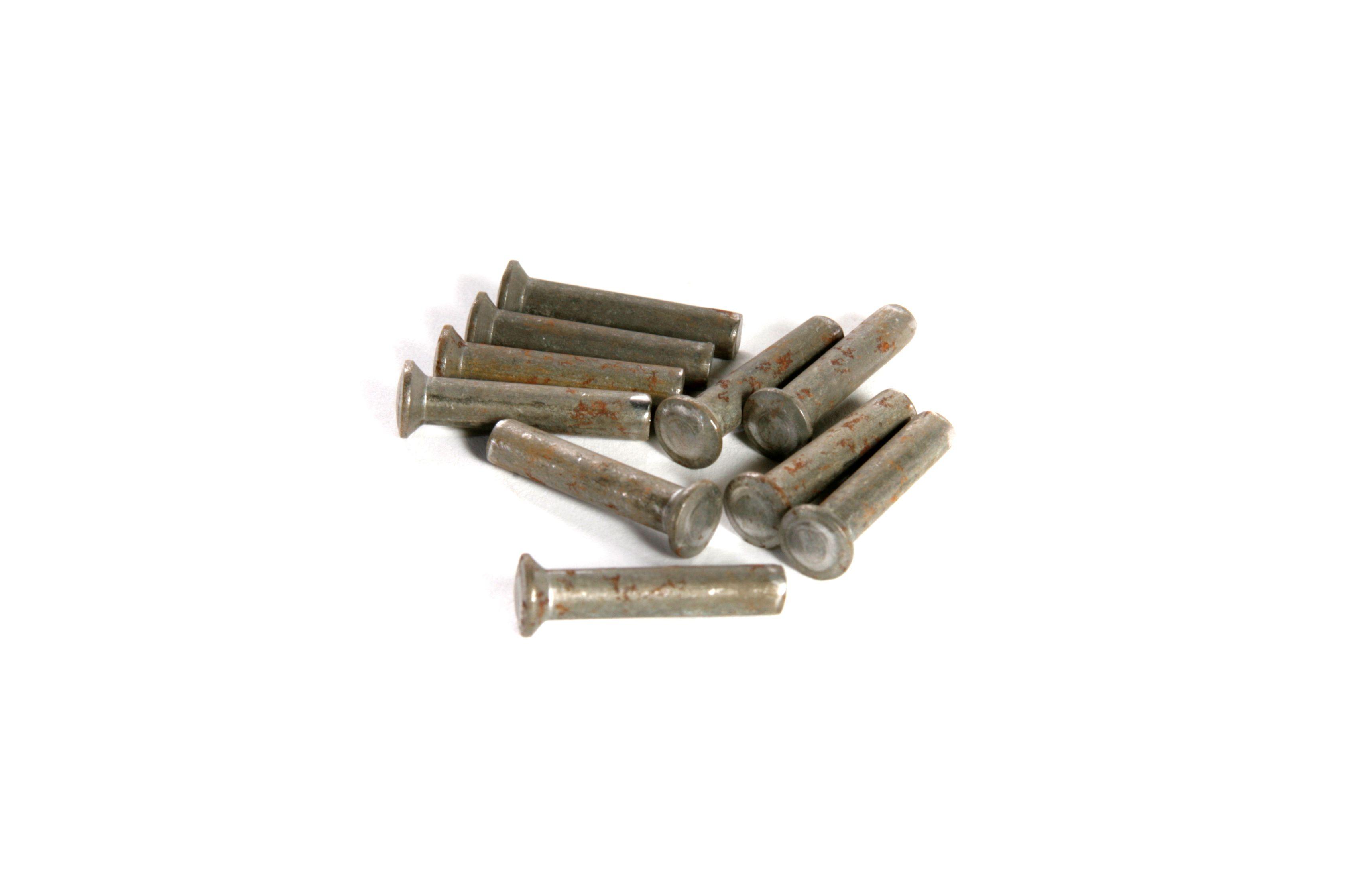 MASSEY FERGUSON TRACTOR RIVET (AGCO) 195648M1