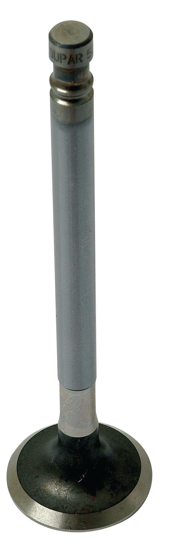 FIAT VALVE-EXHAUST 62363