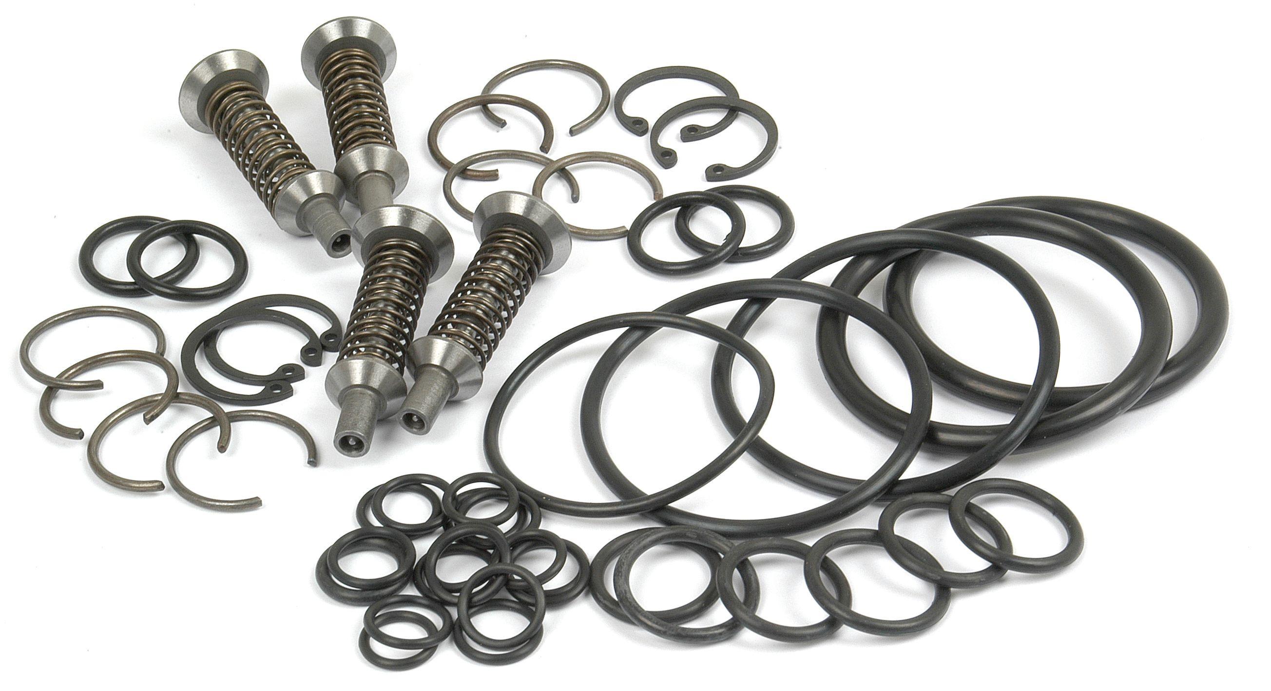 MASSEY FERGUSON VALVE & O'RING KIT 42009