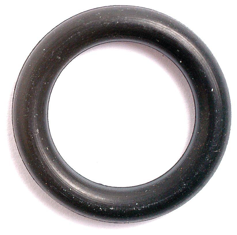 LANDINI O'RING-3/32"X7/16" 1917