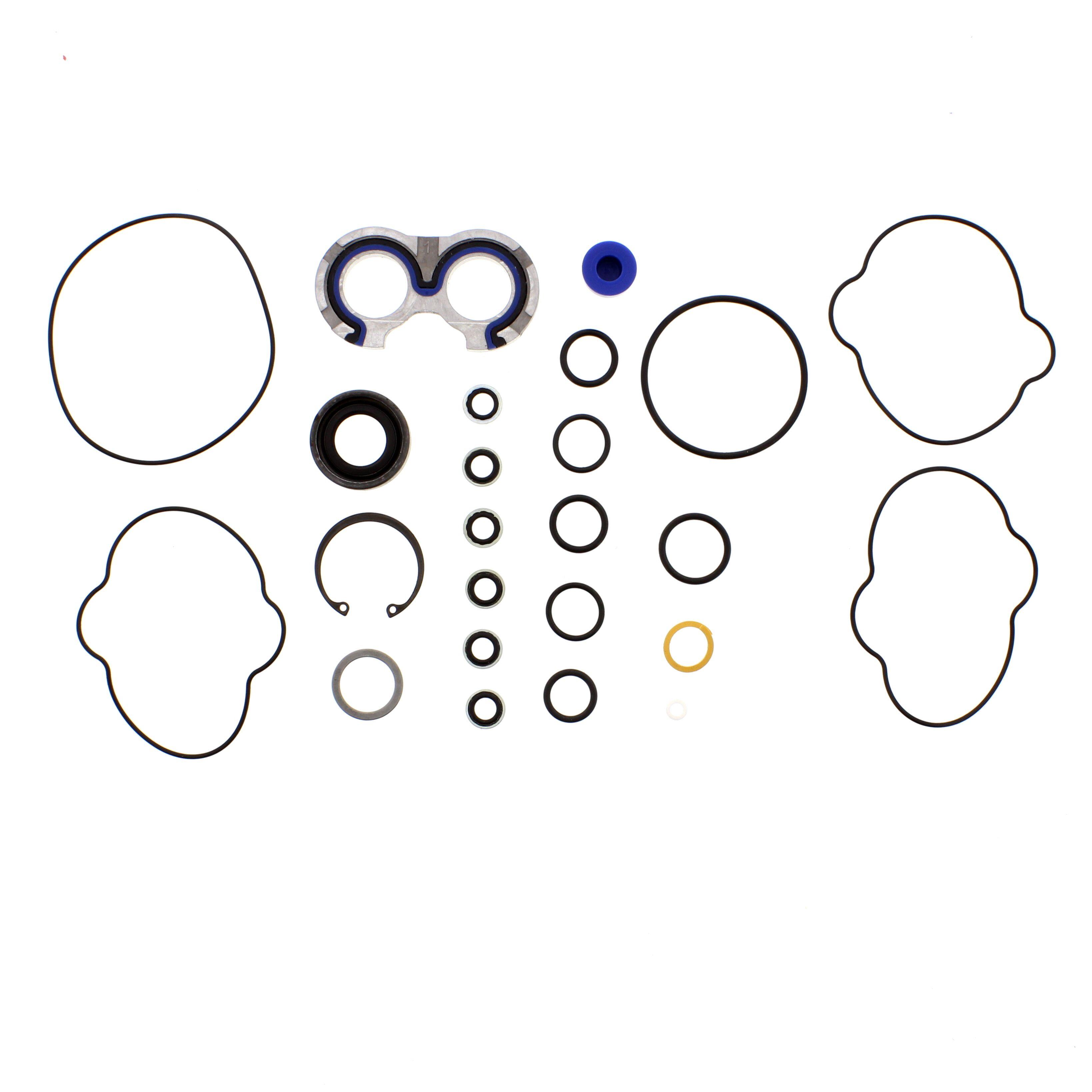 MASSEY FERGUSON BALER SEAL KIT (AGCO) 700722863