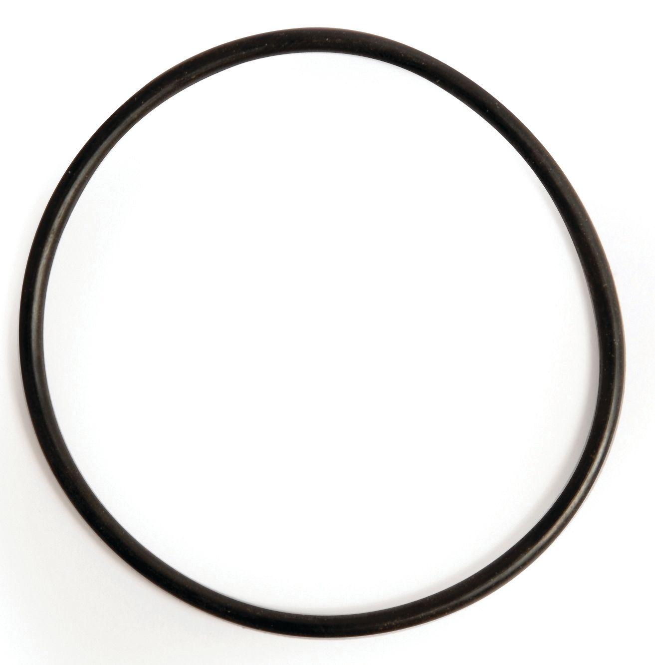 FIAT O'RING-3/32"X2.1/4" 10360