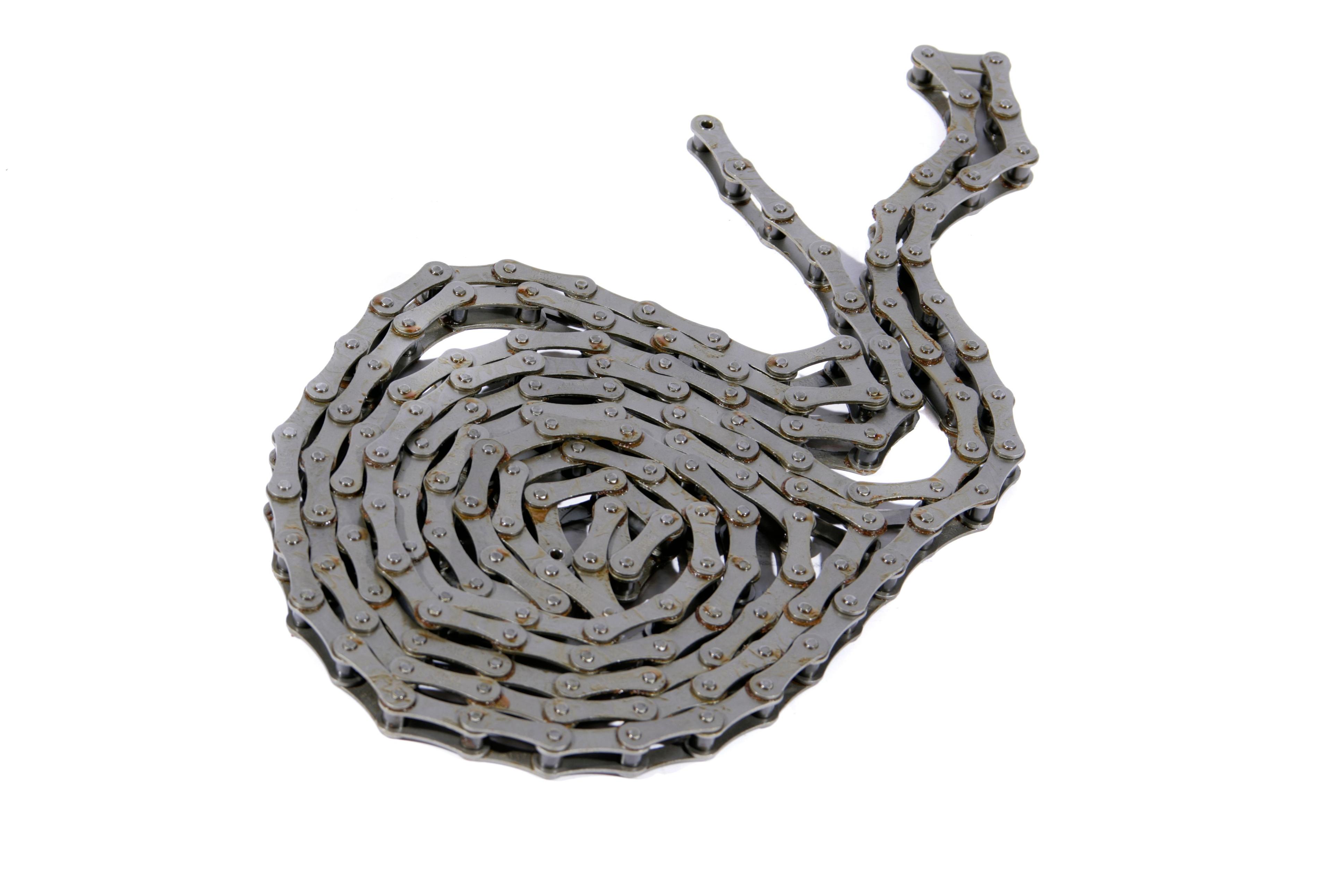 MASSEY FERGUSON SEEDING ROLL OF CHAIN (AGCO) 3030078M91