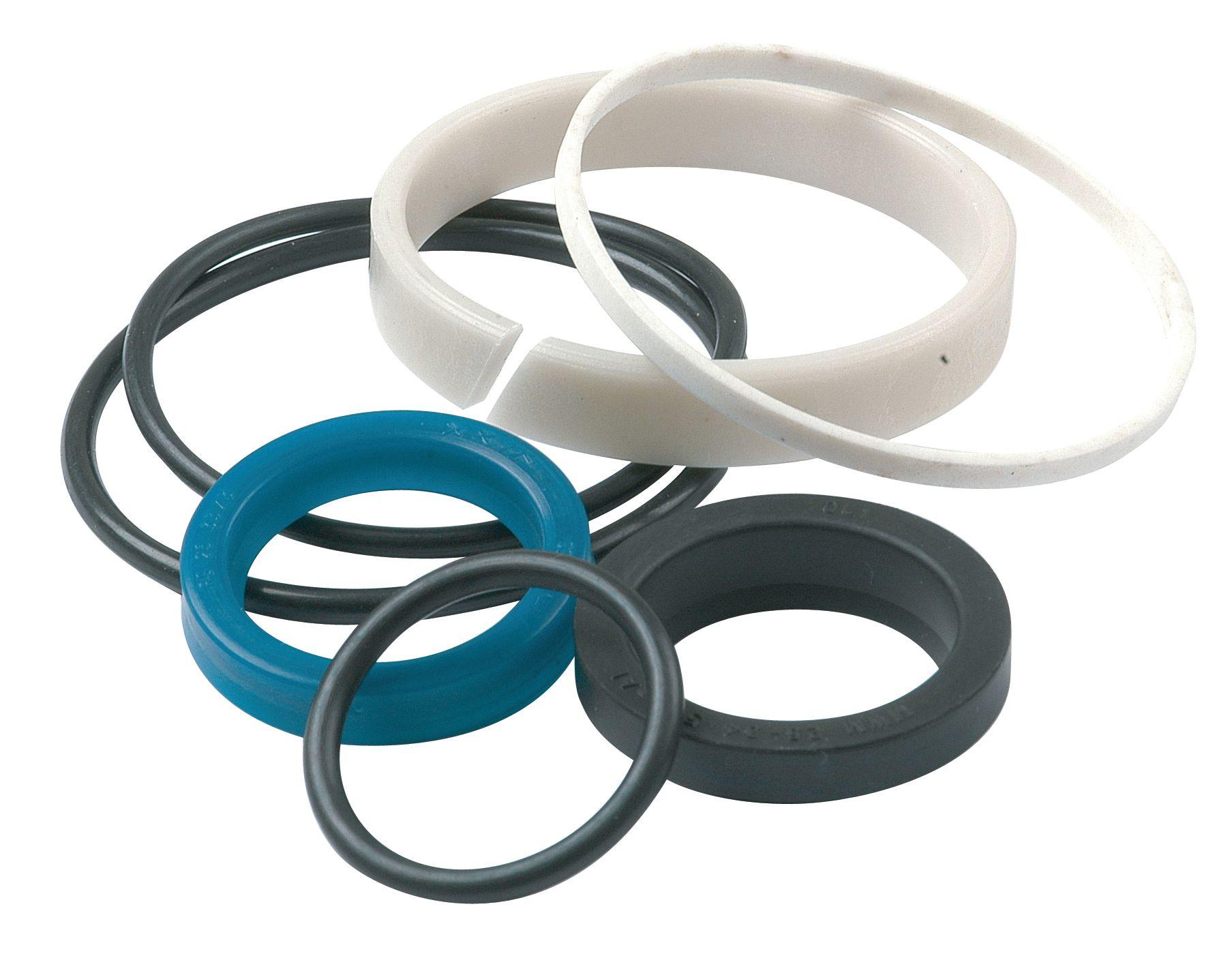 LANDINI SEAL KIT 43343
