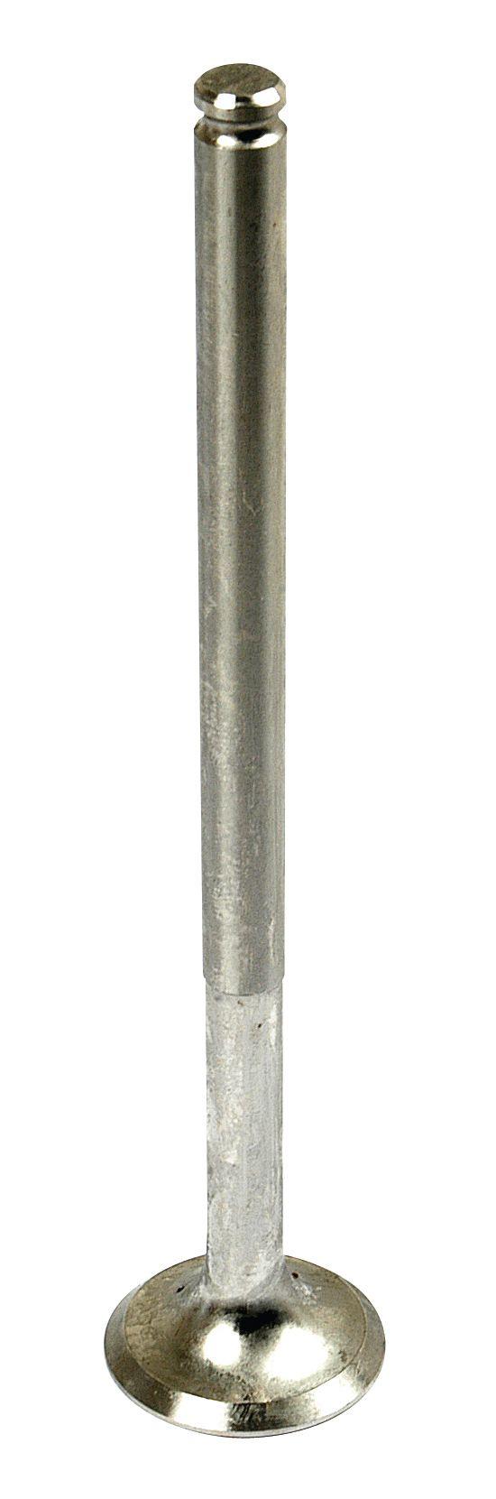 CASE IH VALVE-EXHAUST 57605