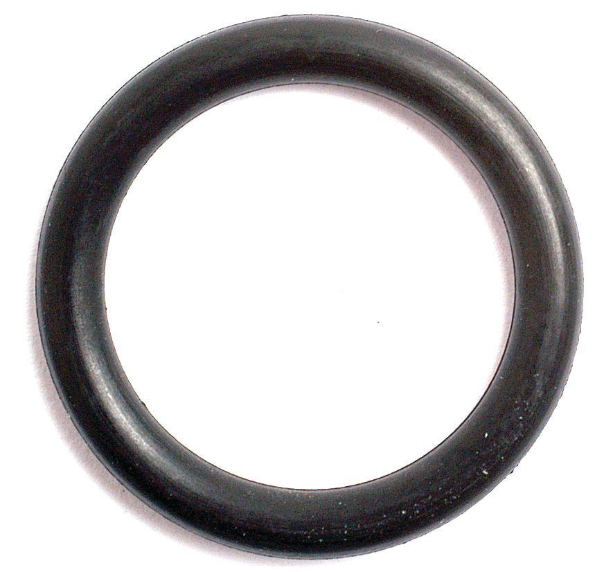 LANDINI O'RING-3/32"X5/8" 1920