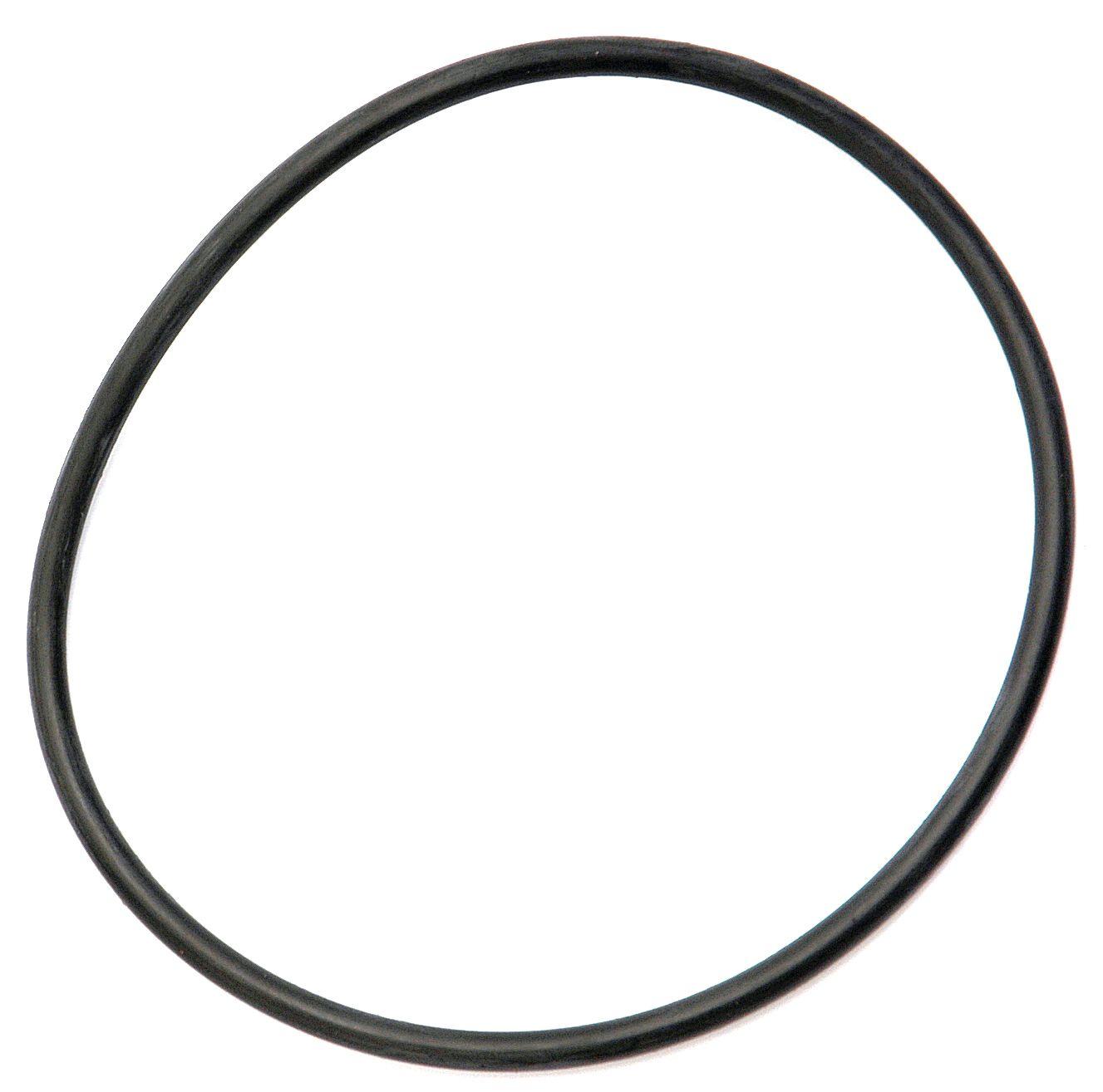 LANDINI O'RING 40809