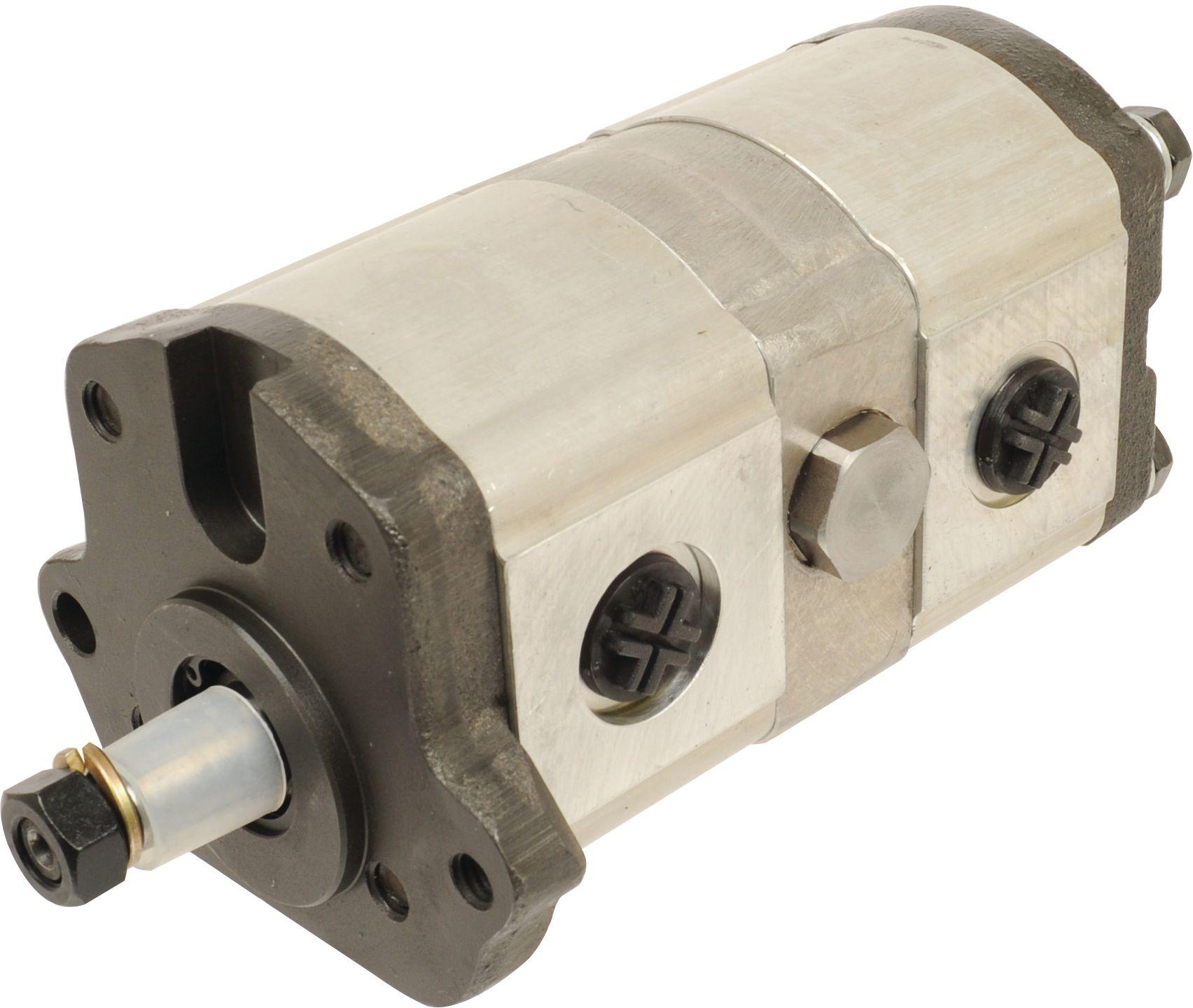 LANDINI AUXILIARY PUMP-TANDEM 42143