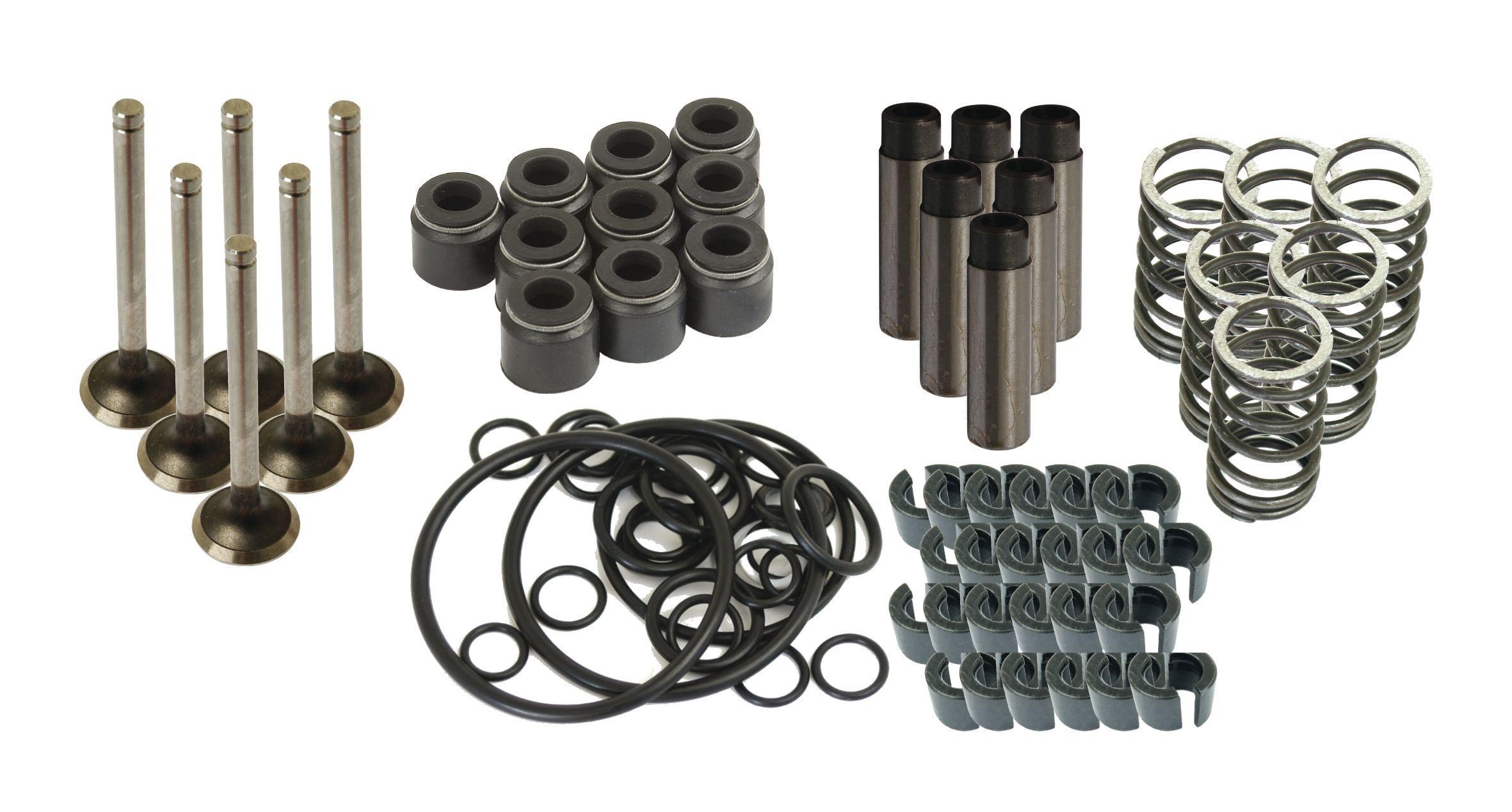 LANDINI VALVE TRAIN KIT 41636