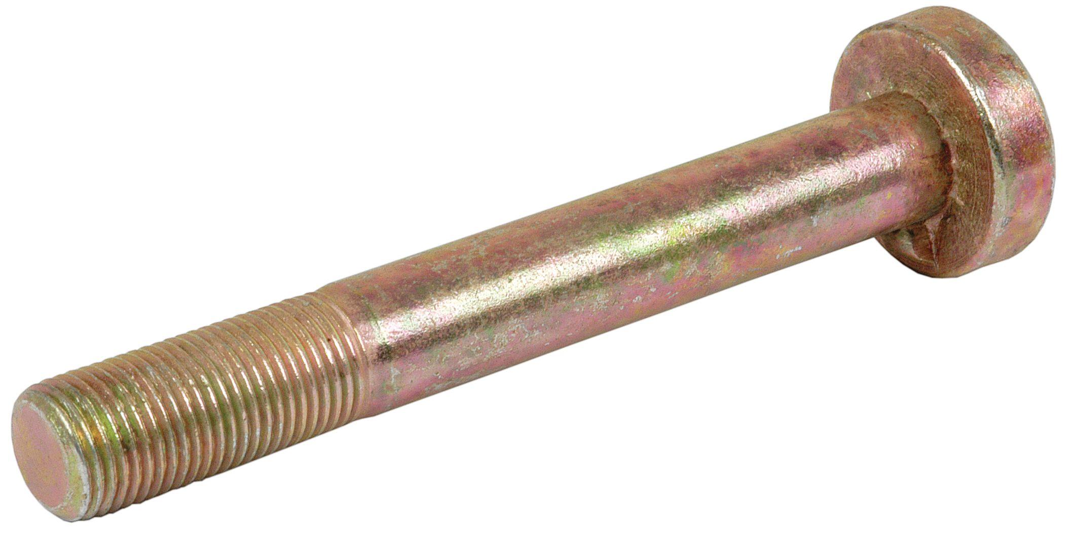 LANDINI BOLT-PIPPED 11499