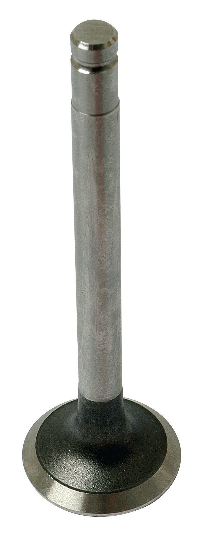 MASSEY FERGUSON VALVE-EXHAUST+0.015" 40493