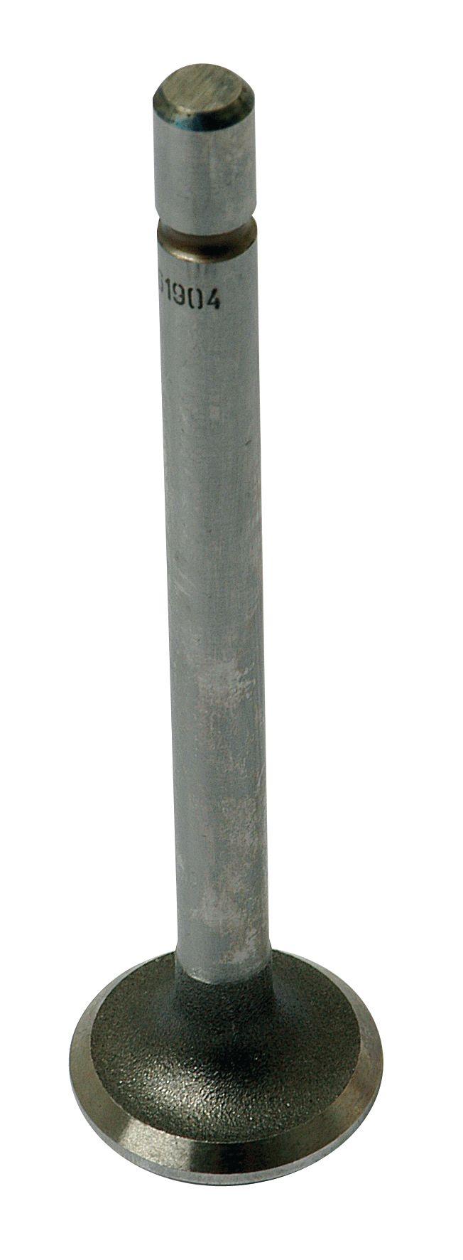 MASSEY FERGUSON VALVE-EXHAUST 61904