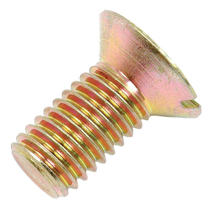 MASSEY FERGUSON SCREW 41554