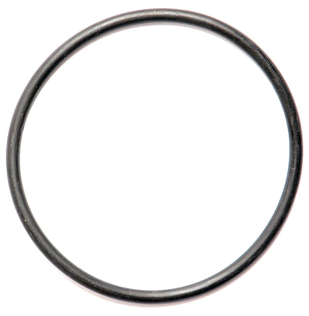 LANDINI O'RING-1/8"X2.5/8" 10402