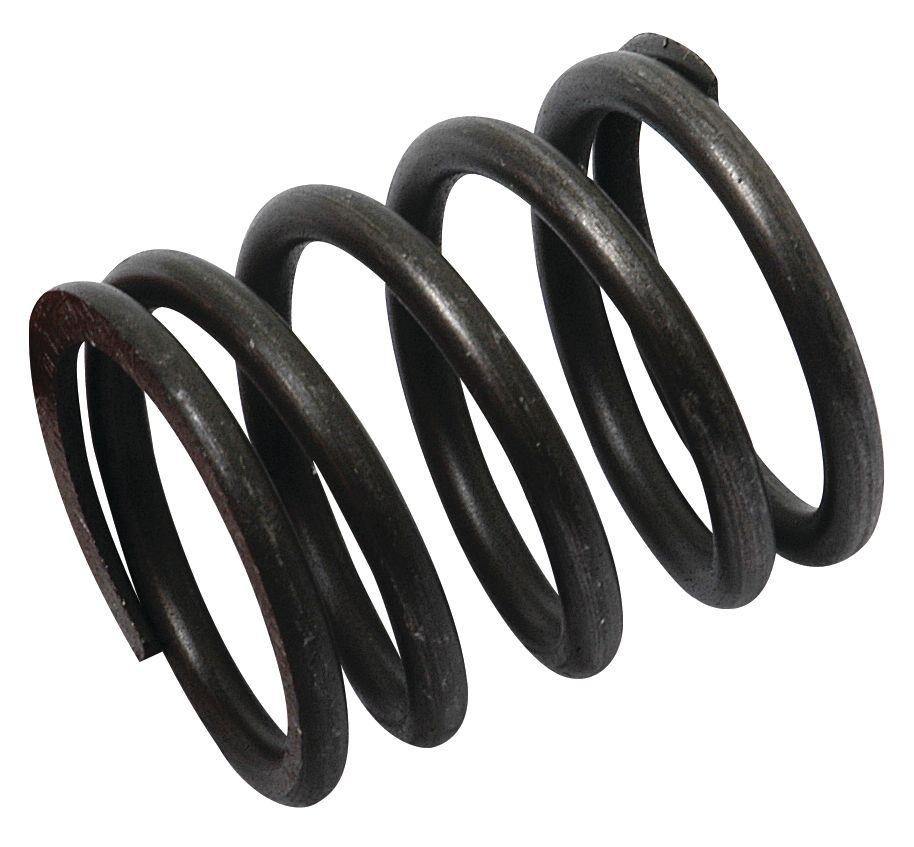 MASSEY FERGUSON SPRING-VALVE-OUTER 40503