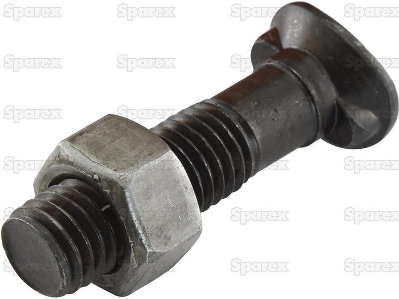 Oval Head Double Nib Bolt With Nut (TO2E) - M12 x 50mm, Tensile strength 10.9 (10 pcs. Agripak)