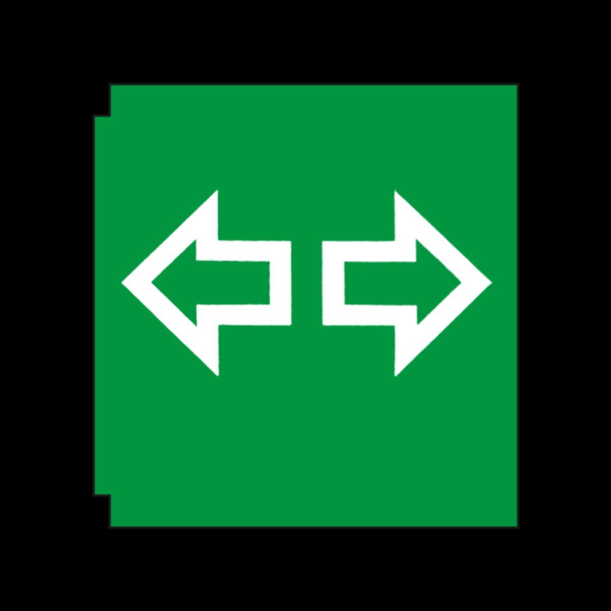 Green Transp. Cover For Switch for AGCO 45060013