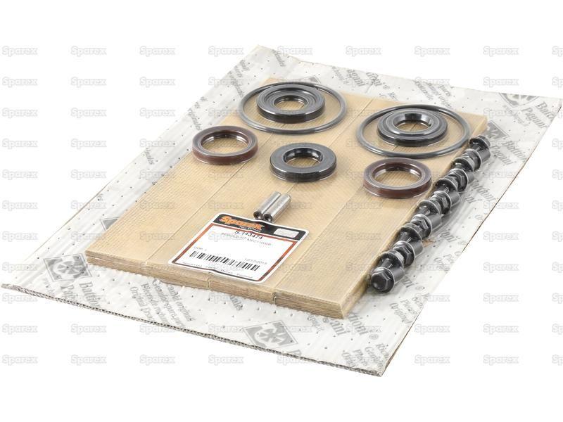 Standard Rebuild Kit for Battioni Pagani Pomp