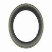 Massey Ferguson Oil Seal
