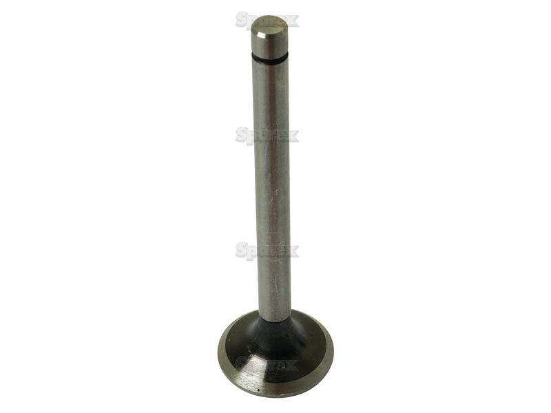 Exhaust Valve Standard for Zetor 7341 (UR1 Series)