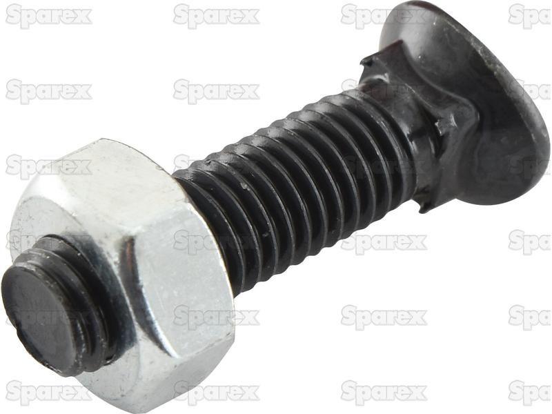 Oval Head Bolt Square Collar With Nut (TOCC) - 7/16'' x 2'' Tensile strength 8.8 (25 pcs. Box) for Universal VARIOUS