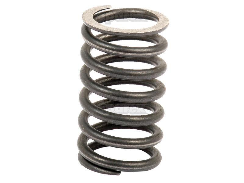 Valve Spring - Outer for Ford New Holland TW30 (TW Series)