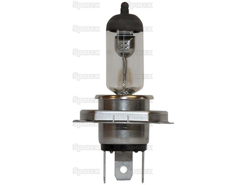 Halogen Head Light Bulb, 12V, 55W, P43t Base