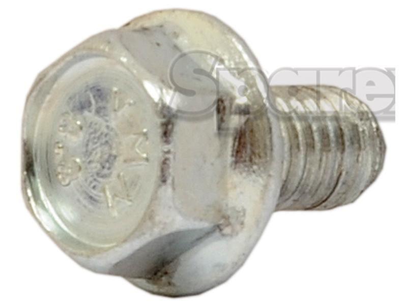 Screw - M6 x 10mm (Bag of 5) for Battioni Pagani Pomp