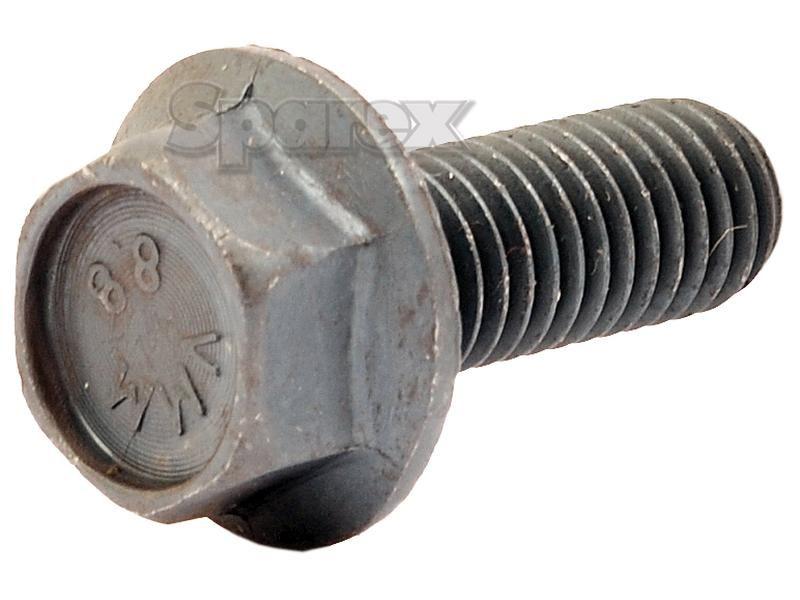 Screw - M10 x 25mm (Bag of 5) for Battioni Pagani Pomp