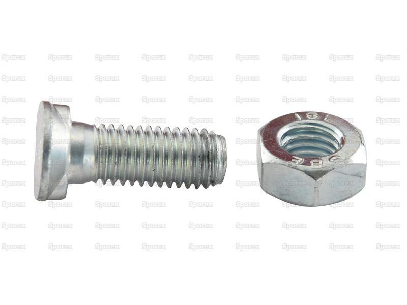 Countersunk Head Bolt 2 Nibs With Nut (TF2E) - M12 x 60mm, Tensile strength 8.8 (8 pcs. Agripak)