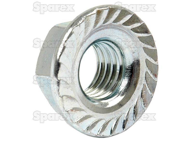 Metric Serrated Flange Nut, Size: M6 x 1.00mm (Din 6923) Metric Coarse