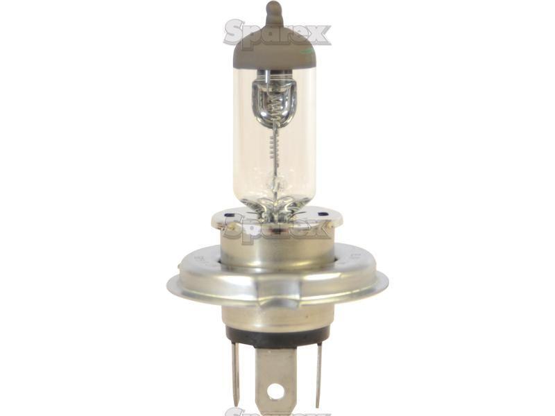 Halogen Head Light Bulb, 24V, 70W, P43t Base Fiat, Lucas