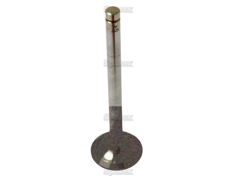 Exhaust Valve Standard for Zetor CRYSTAL 8145
