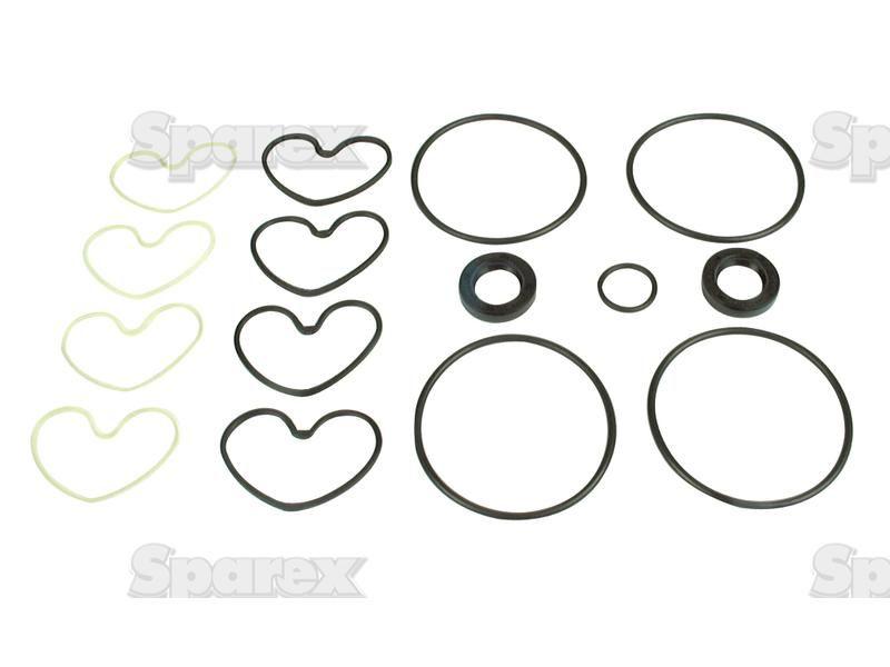 Seal Kit (Hydraulic Pump - Sunstrand/Turolla) for Massey Ferguson 398 (300 Series)