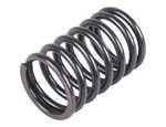 Massey Ferguson Valve Spring