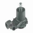 Massey Ferguson Water Pump