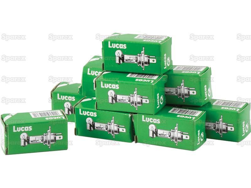Halogen Side | Indicator Bulb, 24V, 3W, W2.1x9.5d Base Lucas (505, LLB505)