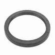 MASSEY FERGUSON TELESCOPIC HANDLER OIL SEAL (AGCO) 1447691M1