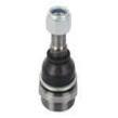 Massey Ferguson Ball Joint