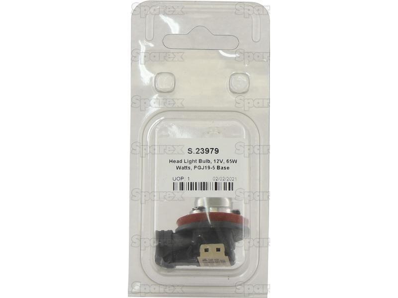 Halogen Head Light Bulb, 12V, 65W, PGJ19-5 Base